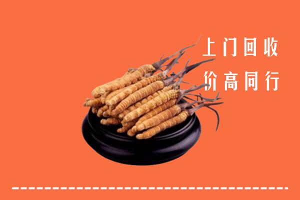 高价求购：钦南区回收散虫草