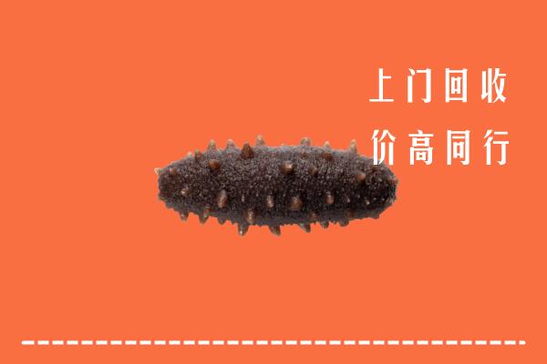 高价求购：钦南区回收海参