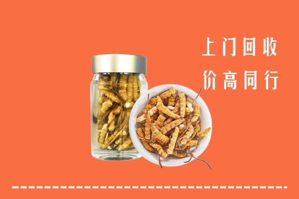 钦南区回收冬虫夏草