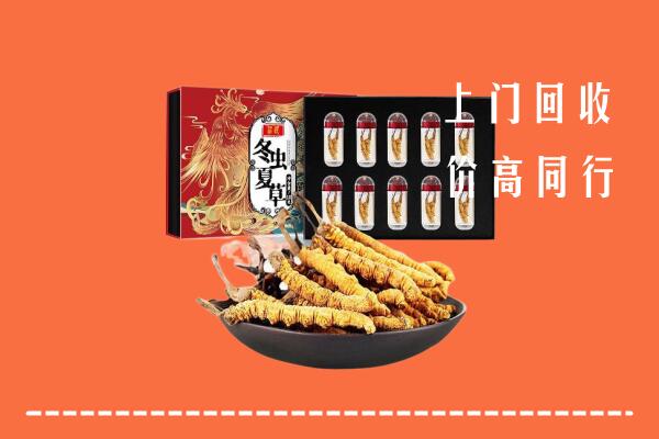 钦南区回收虫草